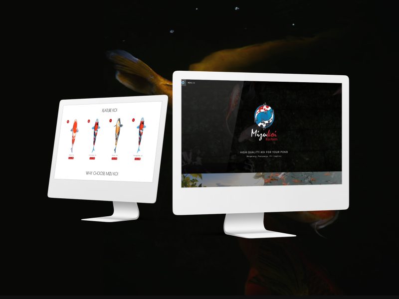 Mizukoi - Website Mockup